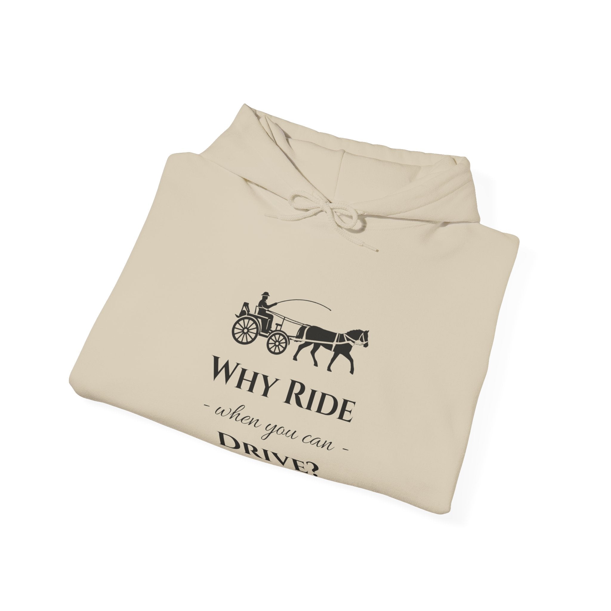 Hoodie – "Why Ride When You Can Drive?" Vintage Carriage Graphic