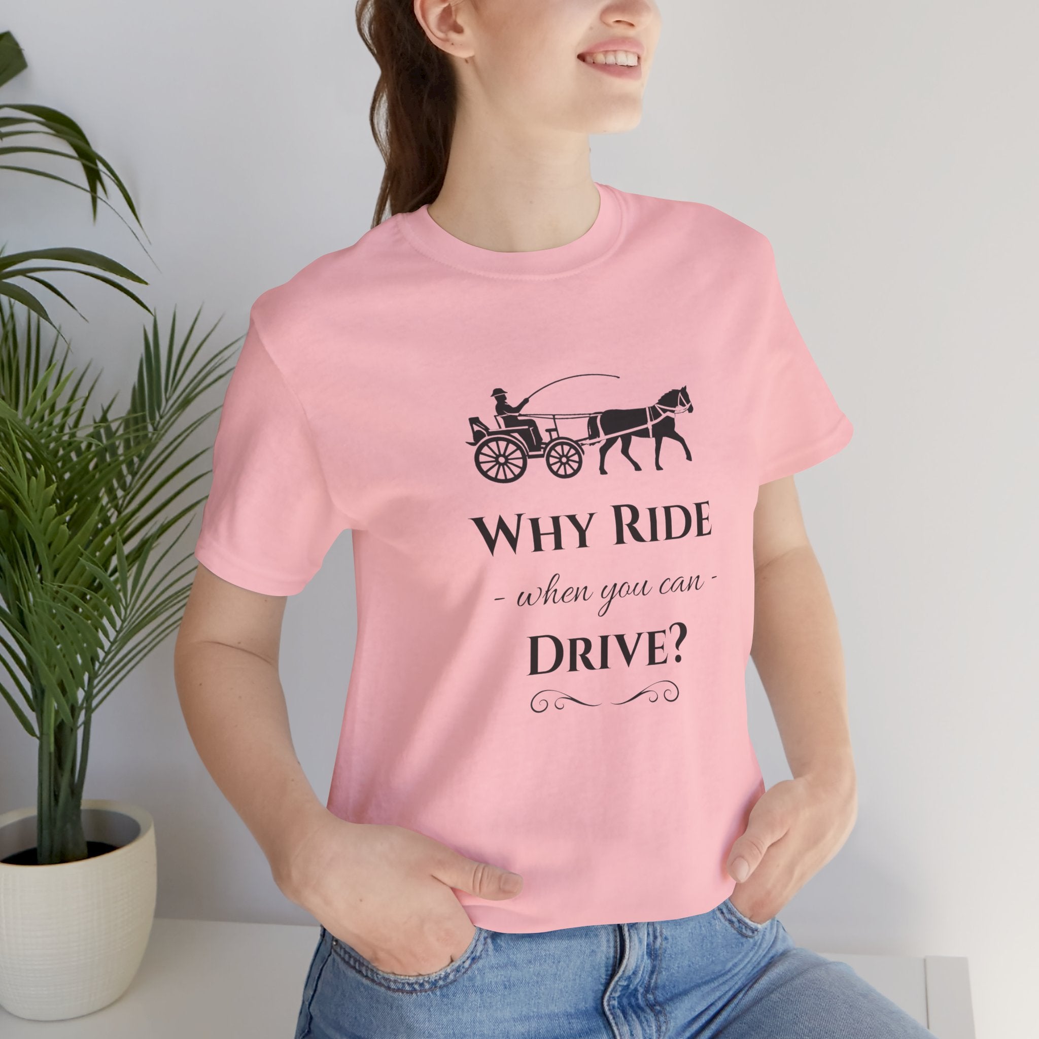 Why Ride When You Can Drive? Tee — Vintage Horse Carriage Graphic T-Shirt